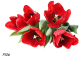 Flor